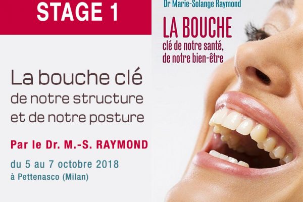 Formation dentiste stage 1 par le Dr Marie-Solange RAYMOND