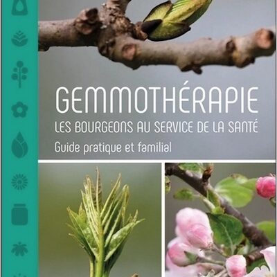 Livre Gemmothérapie : Les bourgeons au service de la santé Guide pratique et familial de Stéphane Boistard